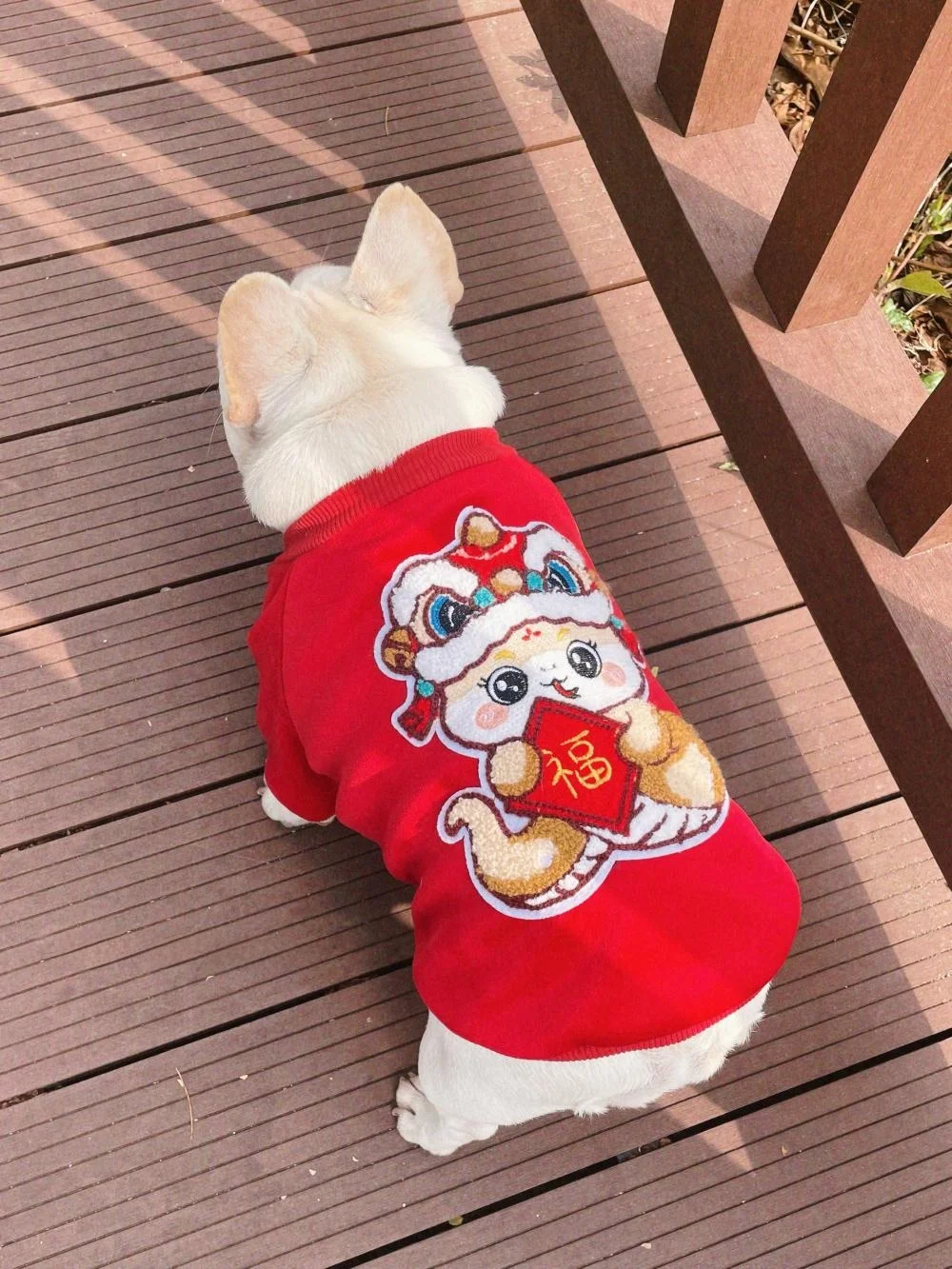 犬用ダブルレイヤーシルクベルベット保温服：冬の寒さ対策に最適な素材とサイズ選びのガイド