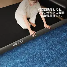 取り外し可能な洗えるカーペット【ダブルレイヤー・防滑・汚れに強い・リビング・寝室用】
