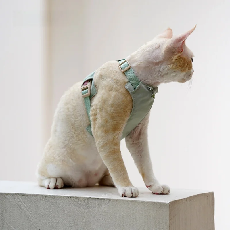  猫飼いが買ってよかったもの・悪かったもの正直に言う｜外出用ハーネスの選び方徹底解説