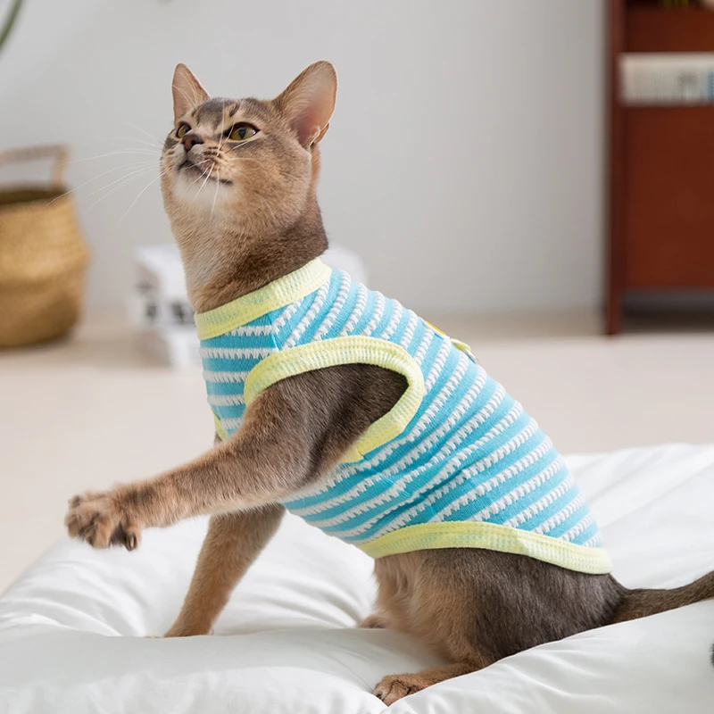 猫飼いが買ってよかったもの・悪かったもの正直に言う｜夏用防毛タンクトップの実測ガイド