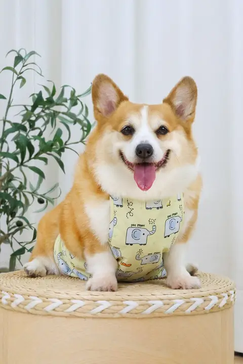 犬用腹巻き【防寒・防水・防汚・コーギーや中型犬に最適】