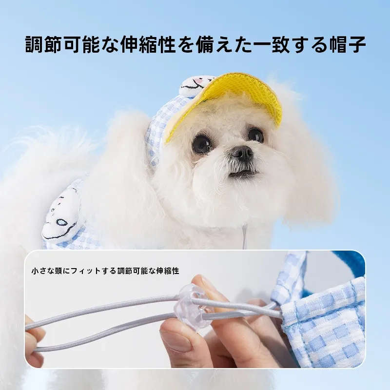 犬のお散歩グッズをコスパ良く揃える方法｜ハーネス型リードの実際の使い心地とサイズ選びの徹底解説