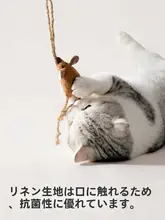 猫じゃらしおもちゃ【猫用・自遊び・猫薄荷付き】（セットアップ対応）