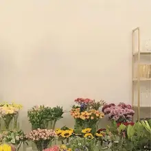 特別感を演出！手書き風励ましの言葉 壁用ステッカー【カフェ・花店・寝室用】