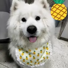 大型犬用 ペットスカーフ【サモエド・ゴールデン・ハスキー対応・口周りのよだれ対策】