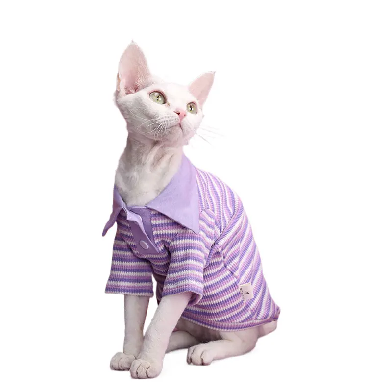 猫カフェで着る衣装は、本当に「猫っぽい」もので決まるの？