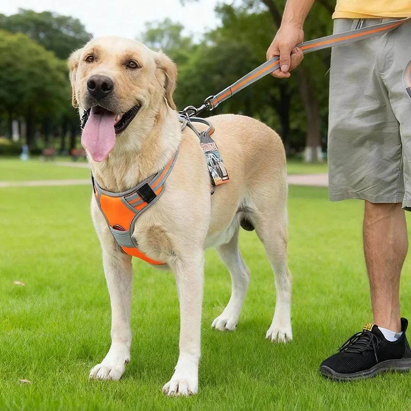 犬のお散歩グッズをコスパ良く揃える方法｜一体型ハーネスリードの実測ガイド