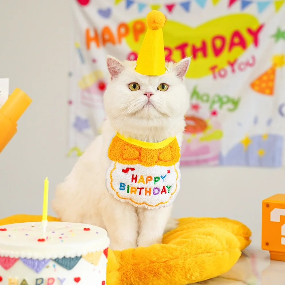 犬の誕生日プレゼントに何を買ったらいいの？実はこれ1つで満足できる