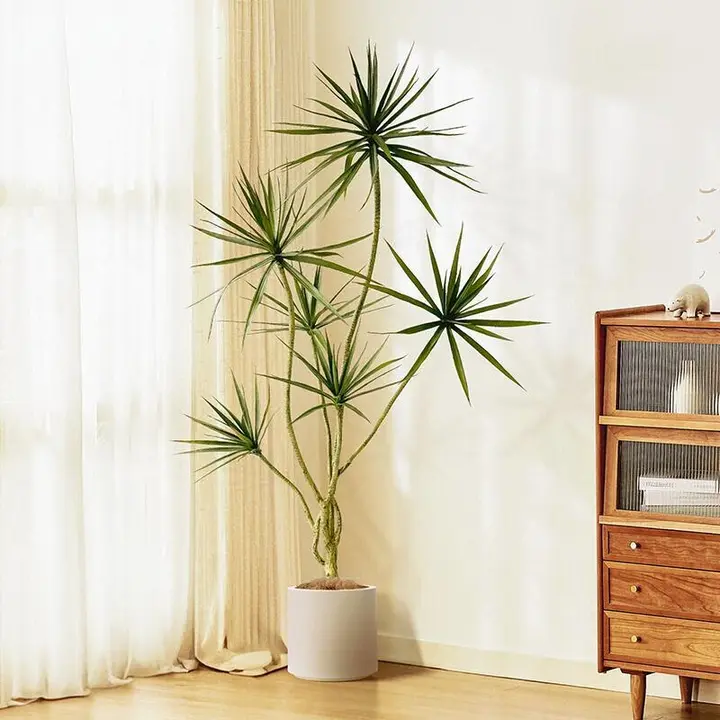 高級感ある人工緑化植物 ドラセナ【インテリア装飾・リビング用】