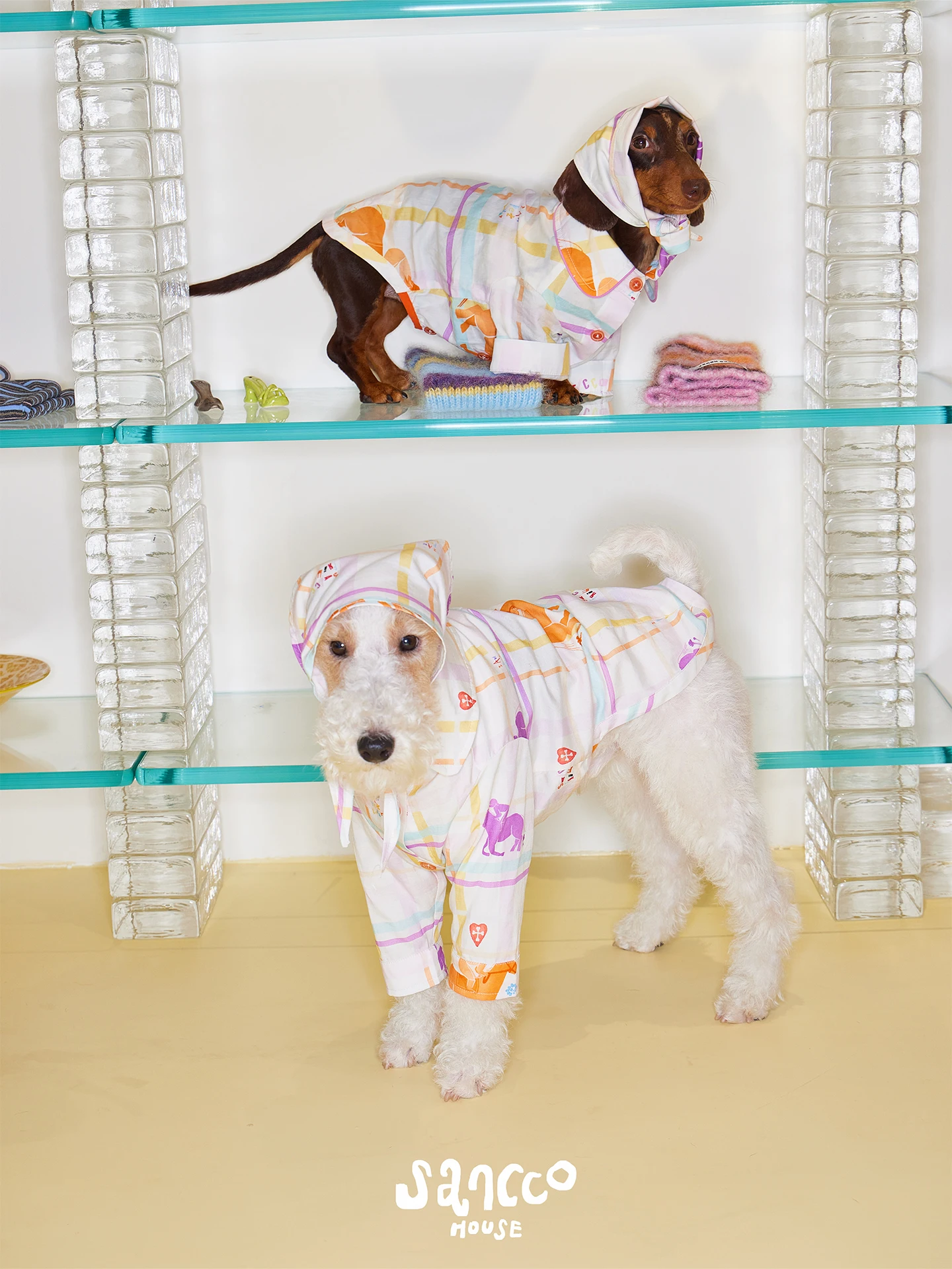 チワワ用犬服：オリジナルプリント小犬用パジャマの実用性とサイズ適合性