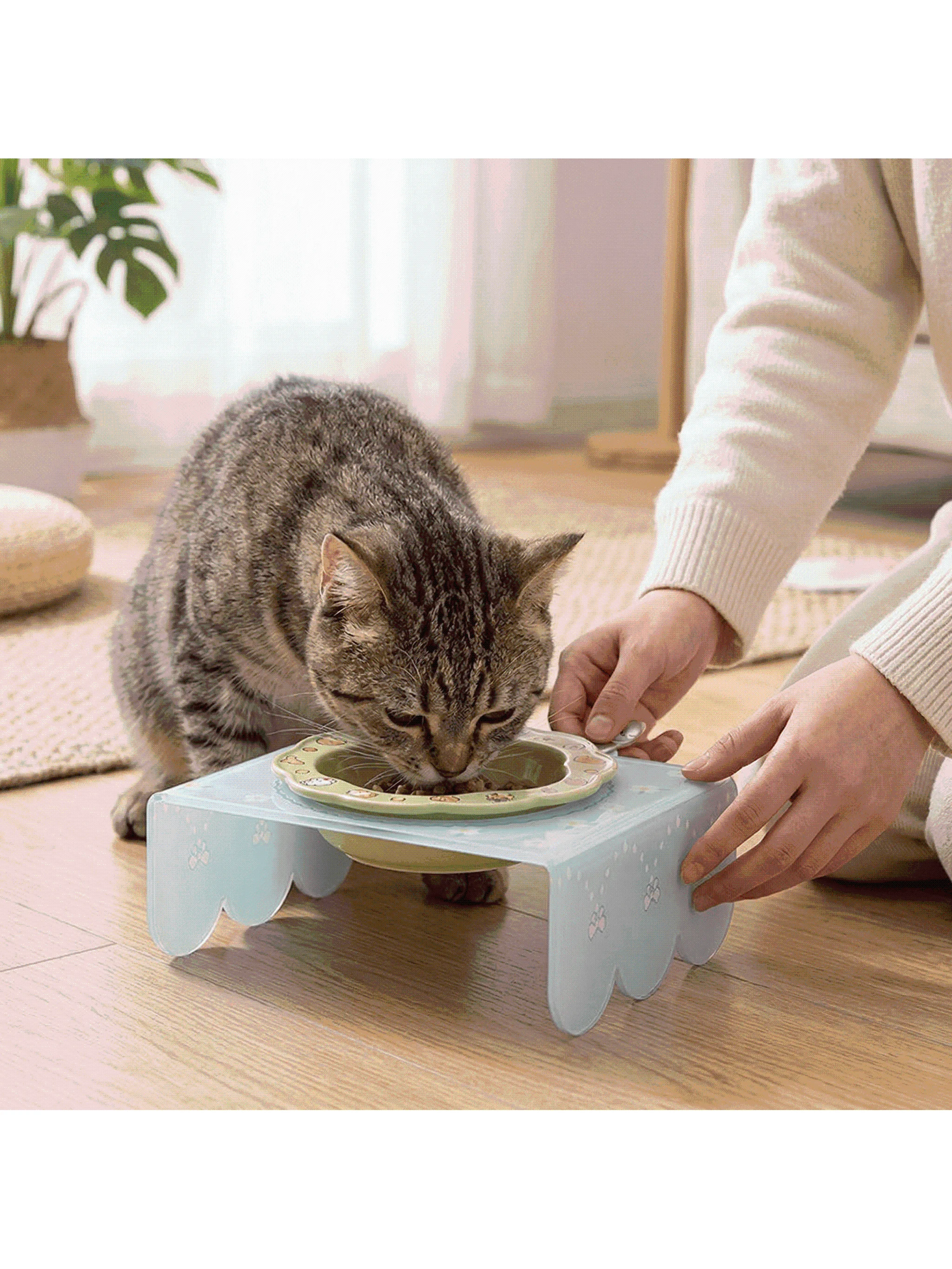 猫皿の高さが猫の背中まで届くのは本当？実際の使い心地を解き明かす