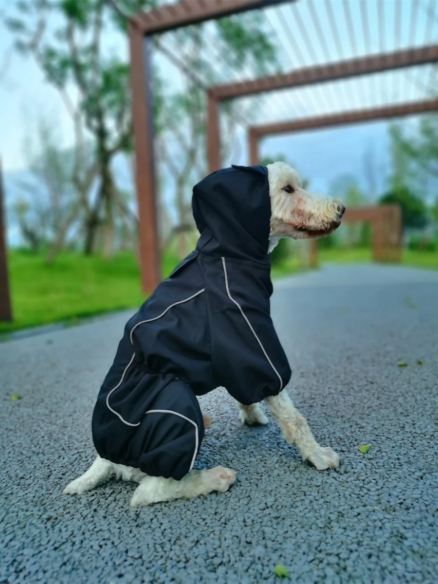 犬のお散歩グッズをコスパ良く揃える方法 - ペット用防水レインコートの技術的背景