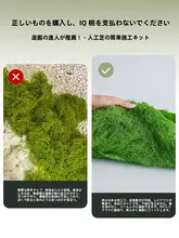 インテリア装飾用の青苔ミニチュア風景セッ ト【人工植物・グリーンデコレーション・ディスプレイ用】（セットアップ対応）