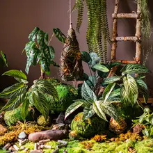 アートフィモンステラ風ミニ観葉植物【卓上装飾用・北欧スタイル】