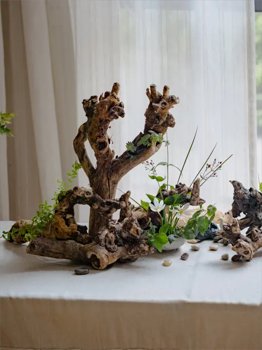 天然木の根を使ったアートデコレーション【禅風・ミニチュア景観作り】