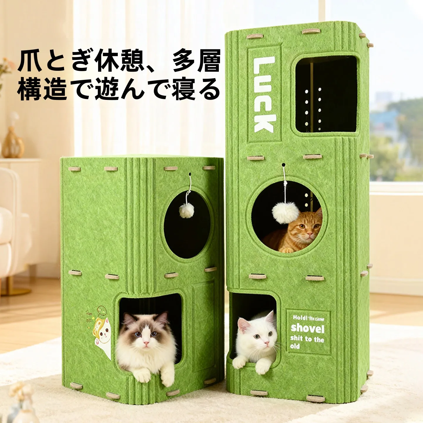 ペット猫を飼いやすいと感じる、本当の理由はどこにあるの？