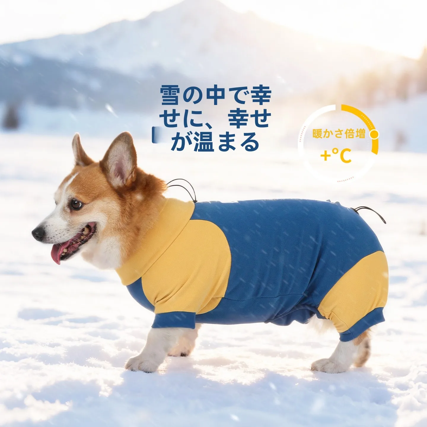 犬用四脚保温服：秋冬季节通用型保暖解决方案