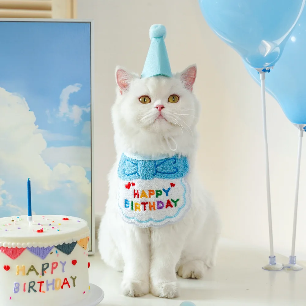 犬の誕生日プレゼントに何を買ったらいいの？実はこれ1つで満足できる