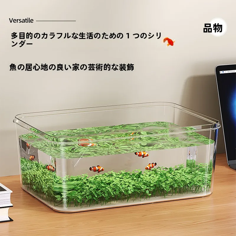 メダカ稚魚水槽で安定した環境を実現する透明バイザガラス小型アクアリウム