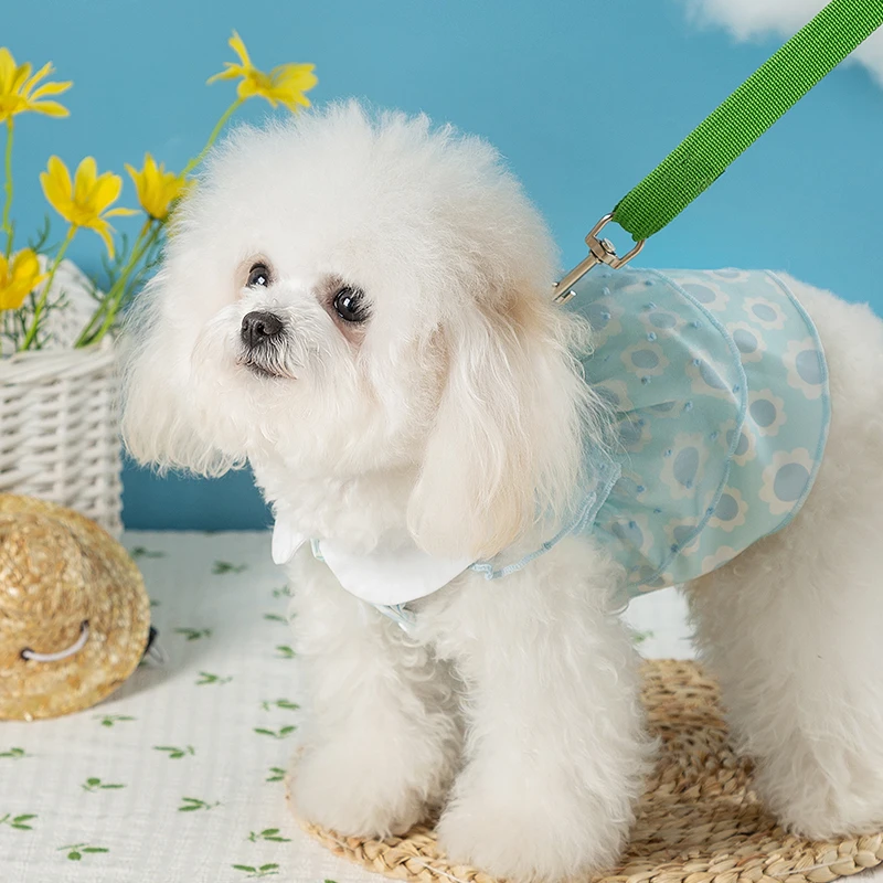 犬の散歩服装で夏をどう過ごす？レースフリルワンピースがもたらす、まるでセレブのようなひととき