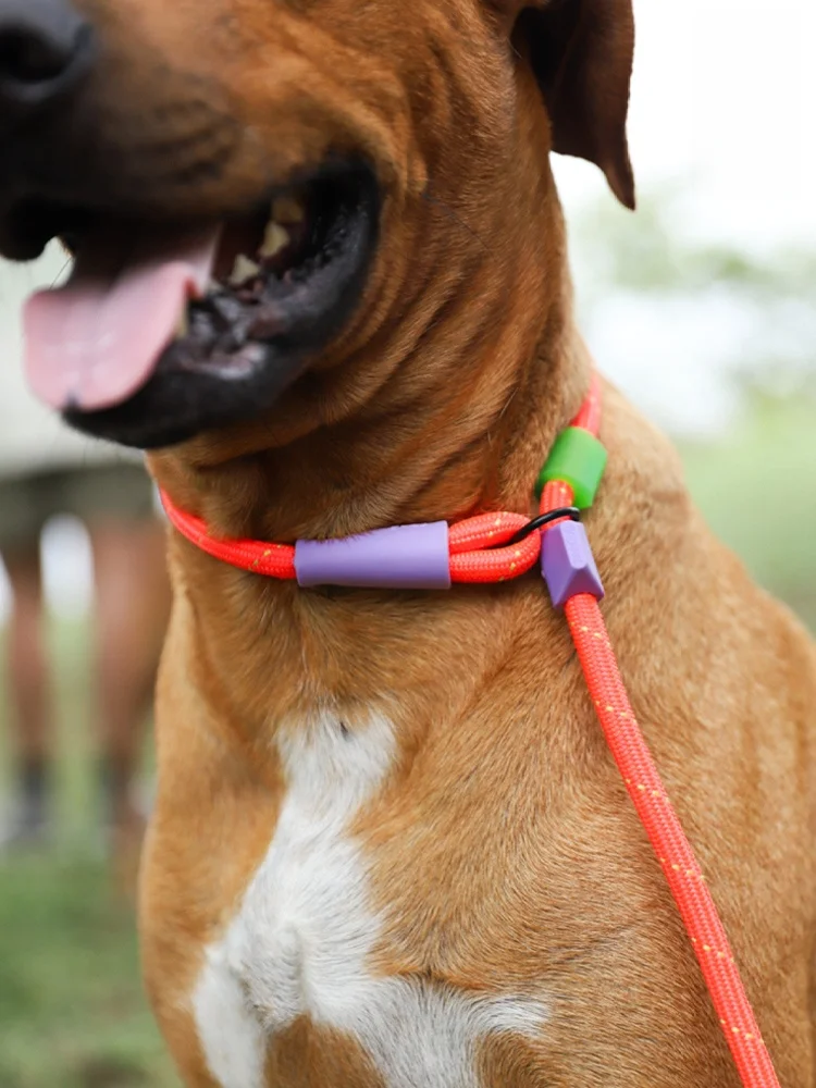 犬のお散歩グッズをコスパ良く揃える方法｜スライド式リードでストレスを減らす完全ガイド