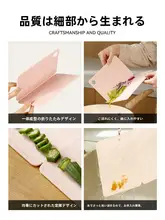 折りたたみ式プラスチックまな板【防カビ・携帯便利・ミニサイズ】