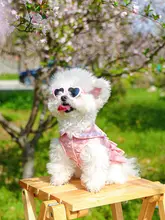犬用春夏ワンピース【プリンセススタイル・小型犬用・リード付き】（セットアップ対応）