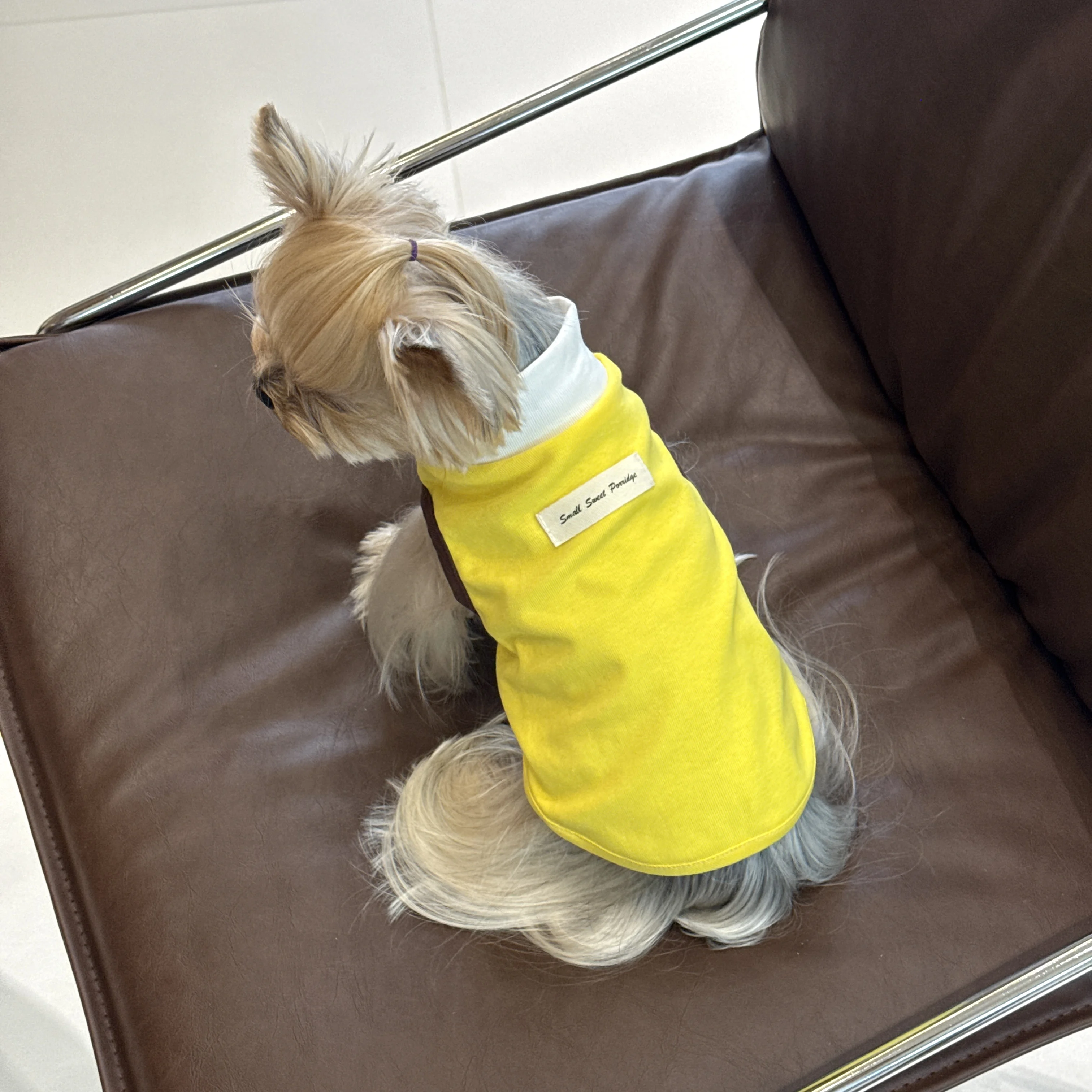 春夏用ペット服：小型犬用バイカラーストレッチ背心の実用性とサイズガイド