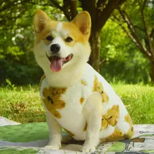 犬用毛布ベスト【秋冬用・保温・防汚】
