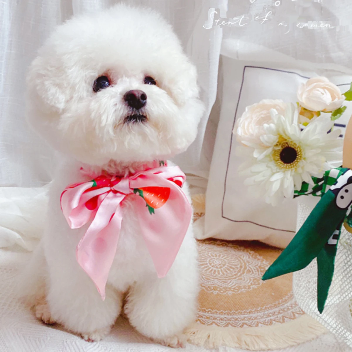 かわいいネクタイのペットアクセサリー：猫と犬用のおしゃれ撮影アクセサリー