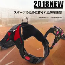犬用 胸部ハーネス＆リードセット【伸縮性・ボーダーコリー・ラブラドール・ゴールデンレトリバー対応】