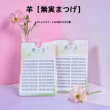 透明軸の分段まつげ【女性用・シルキー・カジュアル・下まつげ】