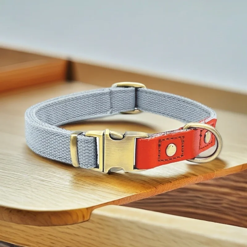 犬のお散歩グッズをコスパ良く揃える方法　完全ガイド