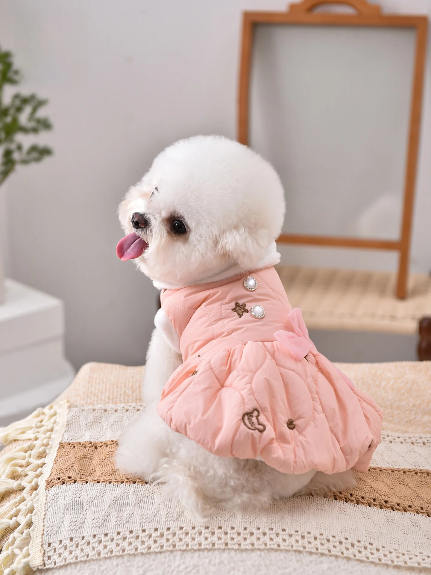 愛犬用プリンセスドレス：秋冬シーズンに最適な加絨連衣裙の実用性とサイズ選定ガイド