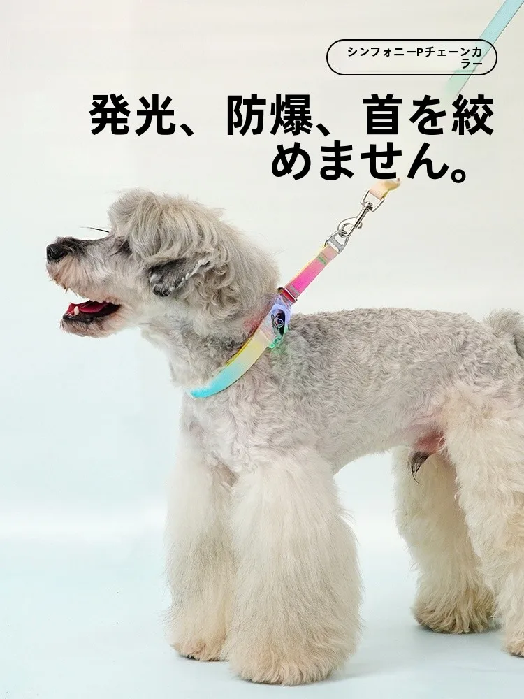 犬とキャンプでリードが不安になるとき、どう選ぶ？