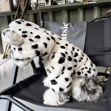 シュナウザー用秋冬向け保温セーター【極上の柔らかさ・小型犬用・フリース裏地】（セットアップ対応）