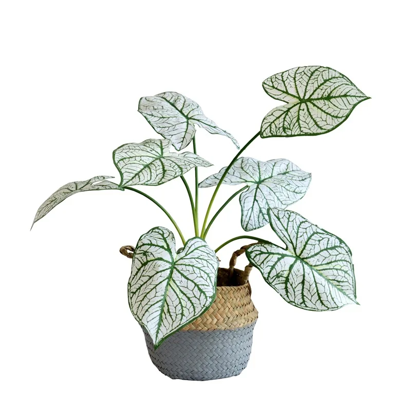 ベランダに観葉植物を置くなら、どう選ぶべきか？北欧風人工植物が解決するリアルな悩み