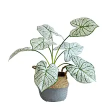 北欧風人工植物 ポトスの観葉植物【リビング用・インテリア装飾・フォトプロップ】