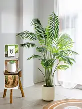 擬似緑植物 室内装飾 植物景観 サンパギータ