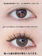 自粘式マグネットつけまつげ【自然な濃さ・再利用可能・グルー不要】
