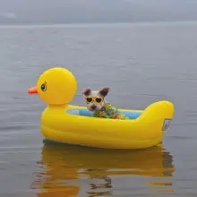 浮き輪 小型犬 ペット用 アウトドア 持ち運び 充気