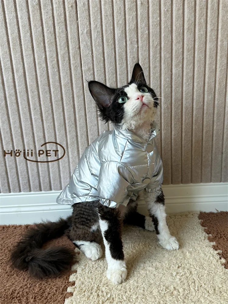 猫飼いが買ってよかったもの・悪かったもの正直に言う - 冬用中綿ジャケットの保温性とフィット感