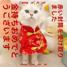 猫の唐装コスチューム【お正月・ペット用・福のお祝い風】