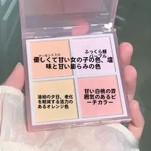 多色マットタイプのバイカラーリップ＆チークパレット【ナチュラルメイク用・女性向け】（セットア  ップ対応）