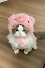 ペット用 かわいいブタ帽子【犬猫用・写真撮影アクセサリー・マルチーズ・ヨークシャーテリア・ビションフリーゼ対応】