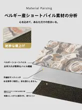玄関用マット【高級感・耐汚れ・カット可能・リビング・寝室用】
