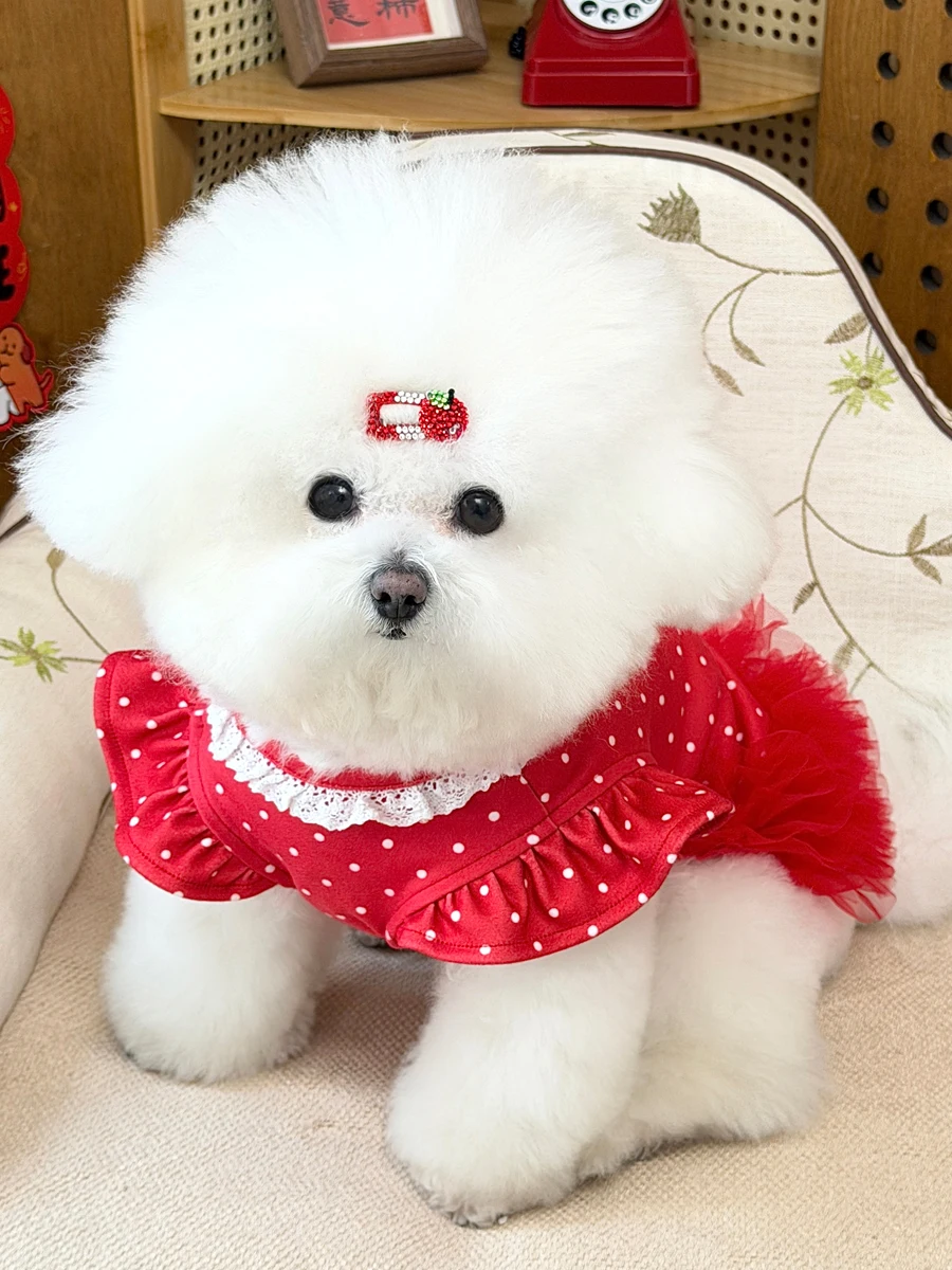小型犬用春用ドット柄フリル付きペット衣服：背心とスカートセットの実用性とサイズガイド