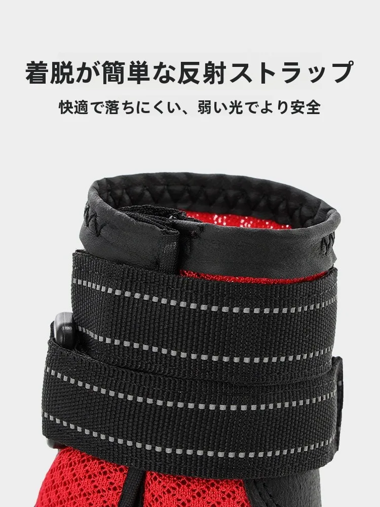 犬のお散歩グッズをコスパ良く揃える方法｜通気性と滑り止めのバランスを徹底解説