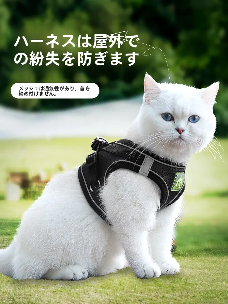 犬のお散歩グッズをコスパ良く揃える方法｜完全ガイドと選び方の秘密