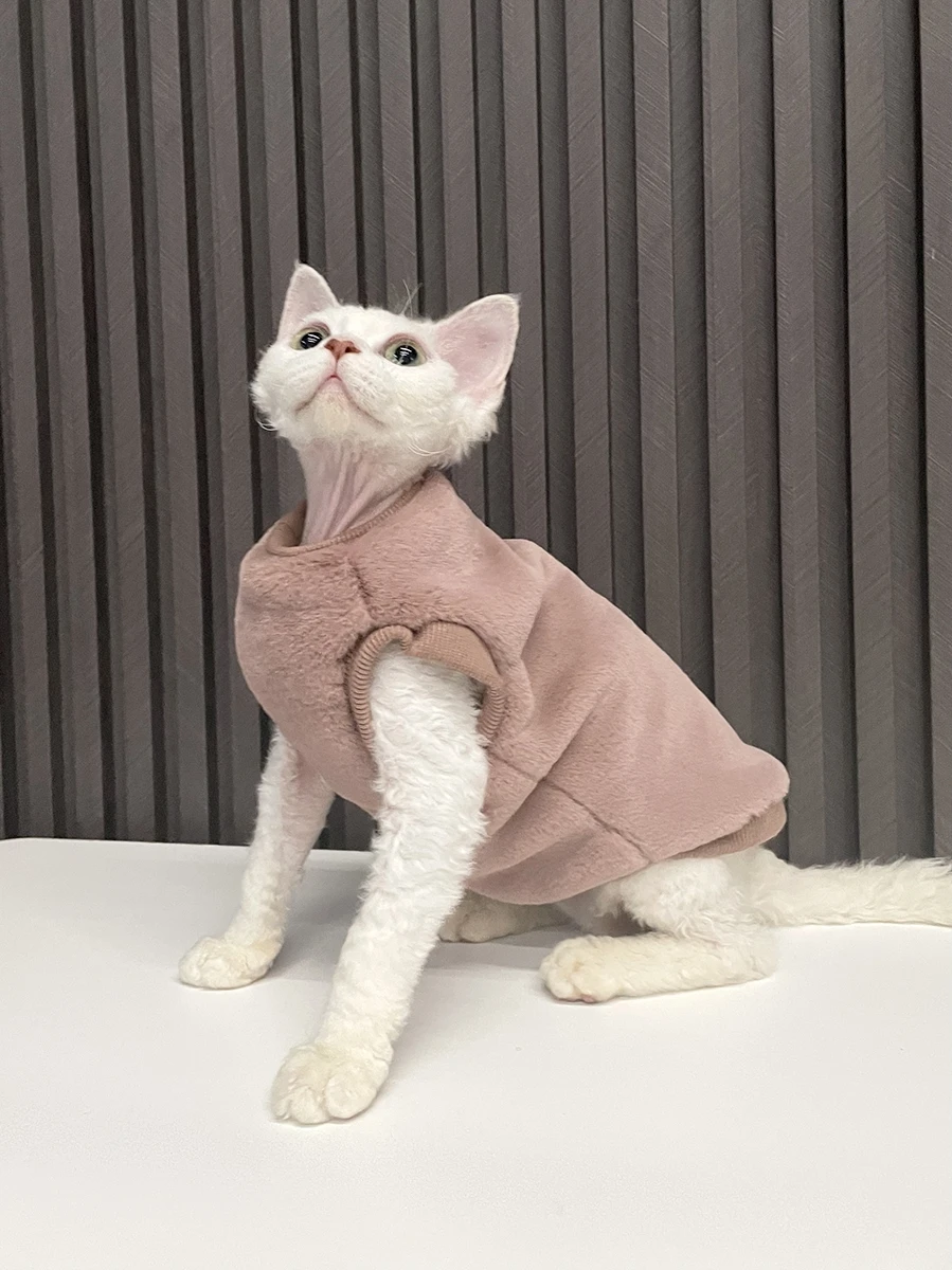 スフィンクス猫用毛無衣服：一人暮らしに最適な冬用保温ベストの実用性と使い方